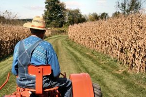 ethanol-corn-syngenta-lawsuit-Indiana-farmer