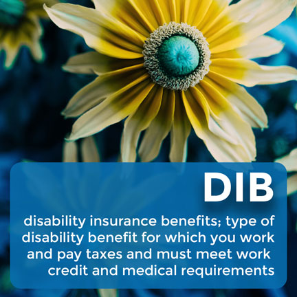 define-disability-insurance-benefits-dib