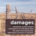 define-damages