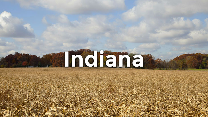 indiana-fault-state