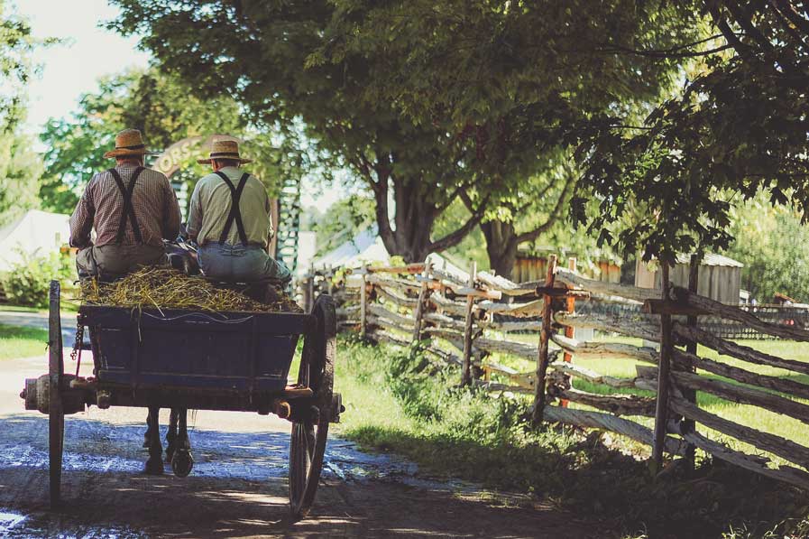 amish