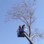 independent-contractor-employee