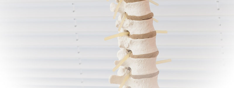 spinal column injury after car accident