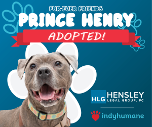 Prince Henry was adopted