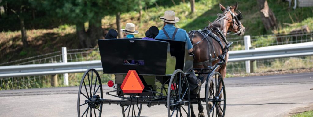 The type of horse-and-buggy that might be involved in an Amish buggy accident in Elkhart, IN