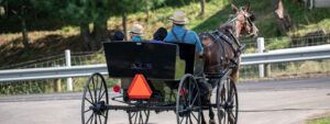 The type of horse-and-buggy that might be involved in an Amish buggy accident in Elkhart, IN